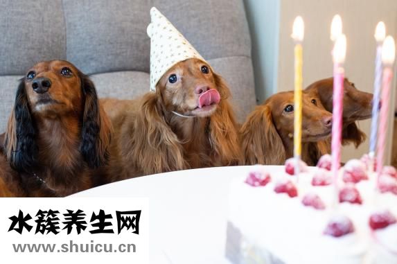 一路人箱怎么樣