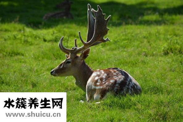 同濟(jì)王常玉怎么樣