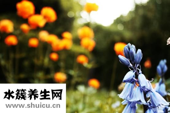 怎么樣才能撿到玉石