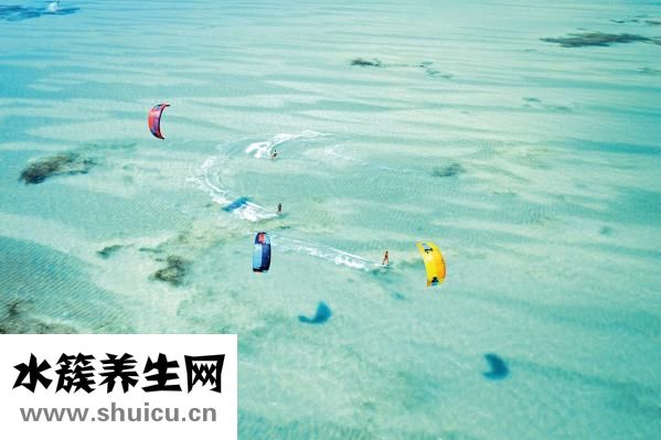 怎么樣瘦背上的肉