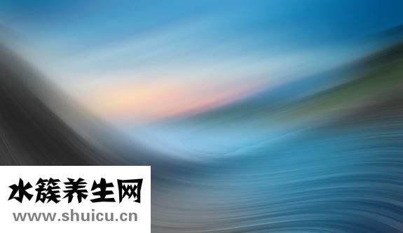 怎么樣堅持運動