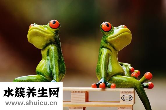 負離子造型梳怎么樣