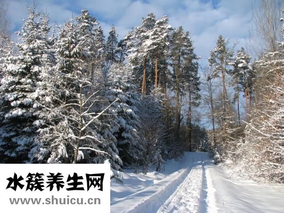 達芙妮雪地靴怎么樣