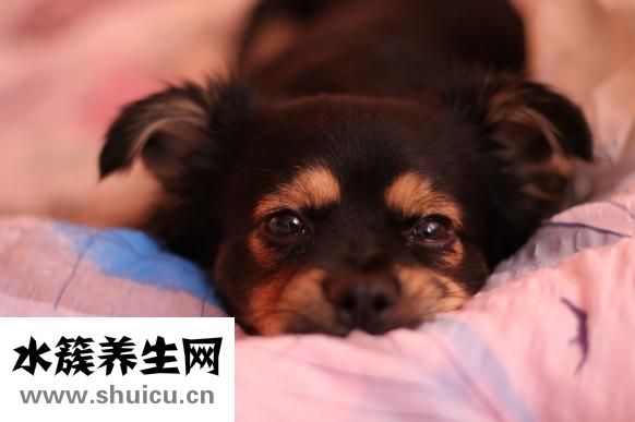 一路人箱怎么樣