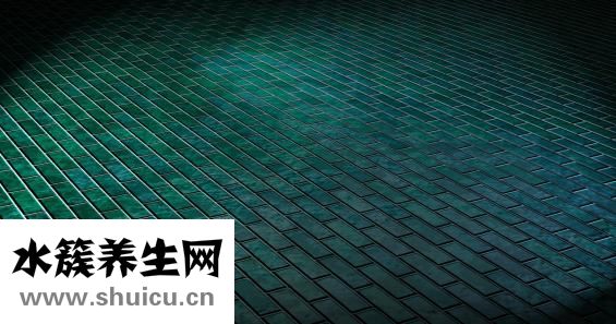 怎么樣才能減肚子