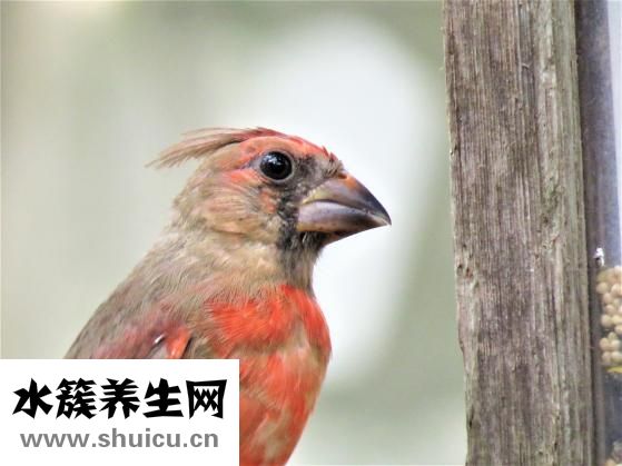 一路人箱怎么樣