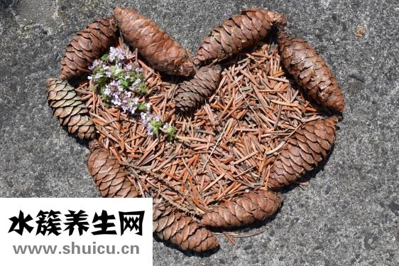 紀元養(yǎng)胃茶怎么樣