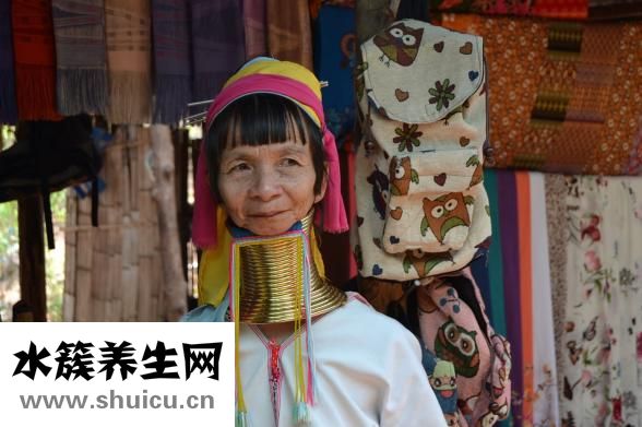 一帶一路是指什么