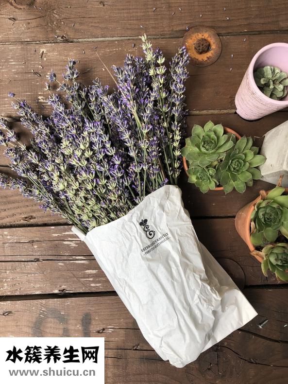 帶狀皰疹怎么樣根治