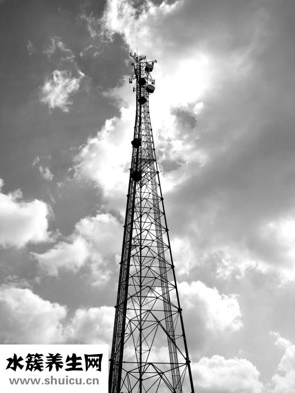 微波消融術怎么樣