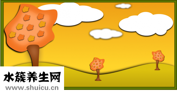 美到家美容師怎么樣