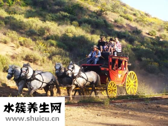 老是胡思亂想怎么辦