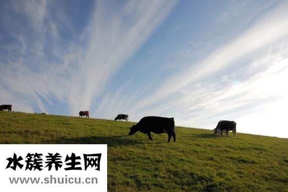 飛鶴超級(jí)飛帆怎么樣