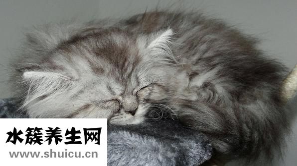 歐格男裝怎么樣