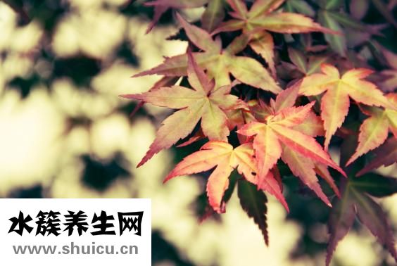 小便赤黃是怎么回事