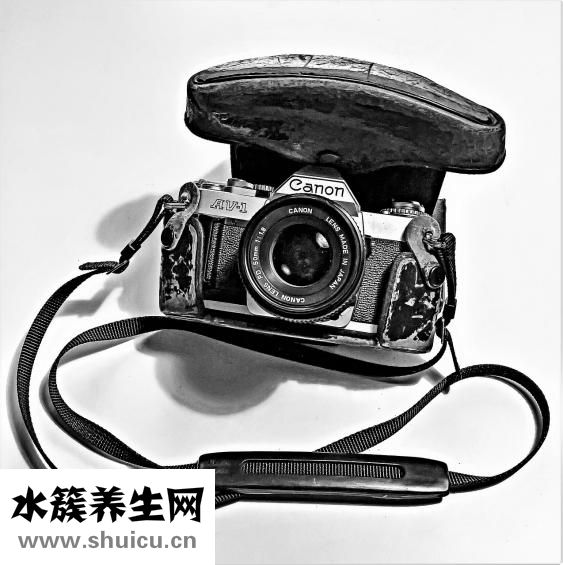 宋小寶得了什么病