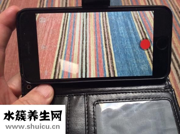 燒龍蝦怎么樣燒