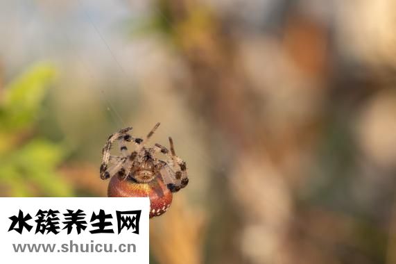 浦瑞特凈水器怎么樣