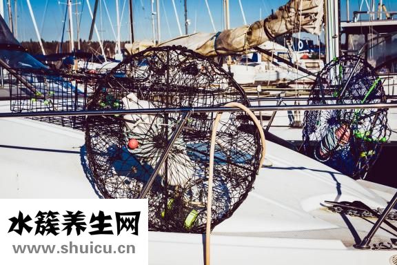 吃螃蟹過(guò)敏怎么辦