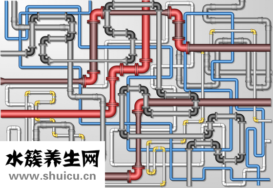 法蘭茜絲怎么樣