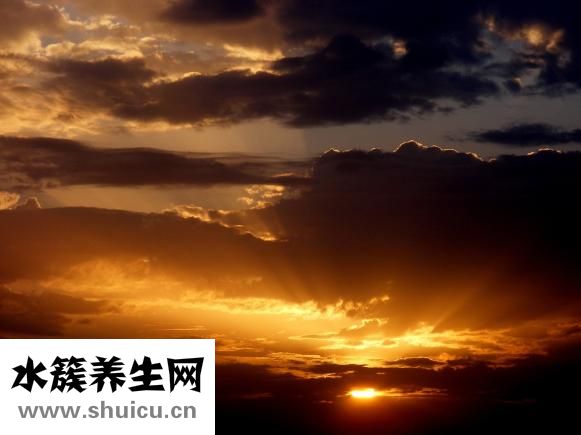 怎么樣去除味道