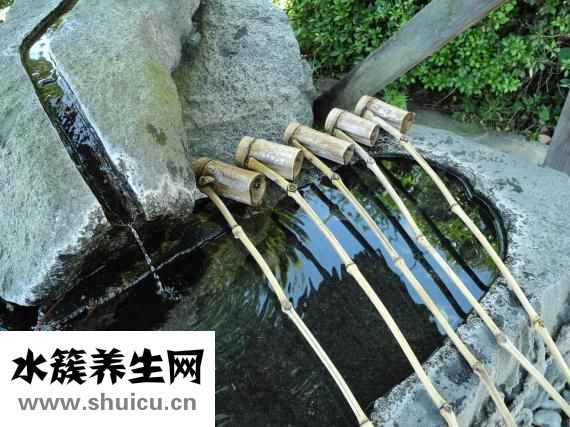 強能水管怎么樣