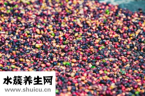 怎么樣去除味道