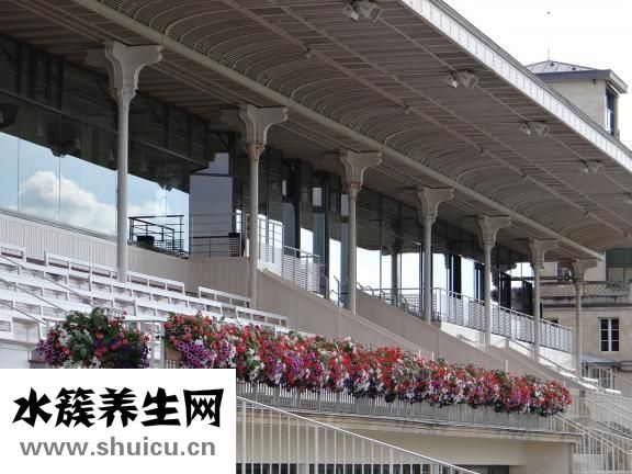 陶絲沐浴露怎么樣