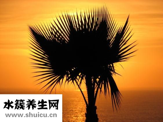 如何改掉壞習慣