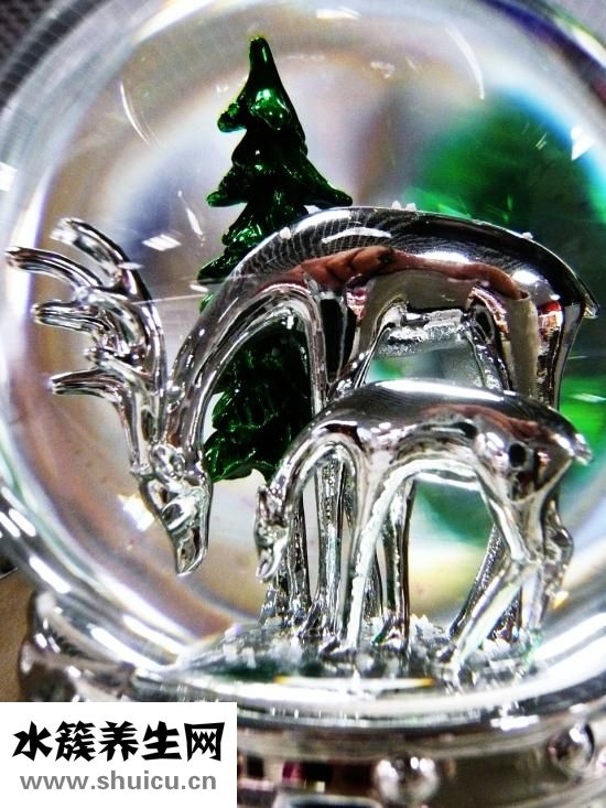 簡歷個人能力怎么寫