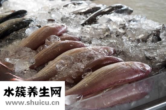 百仕高魚肝油怎么樣