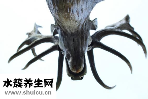 牧鹿服飾怎么樣