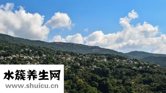 朱梓驍為什么消失了