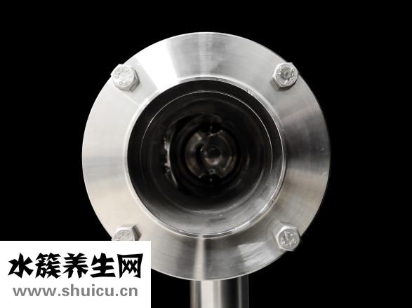 法蘭茜絲怎么樣