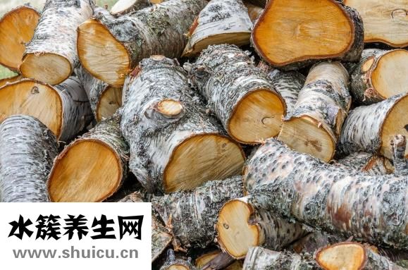 牛角松筋怎么樣