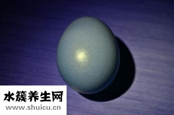 燒龍蝦怎么樣燒