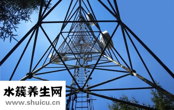 微波消融術怎么樣