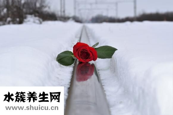 金牛男的性怎么樣