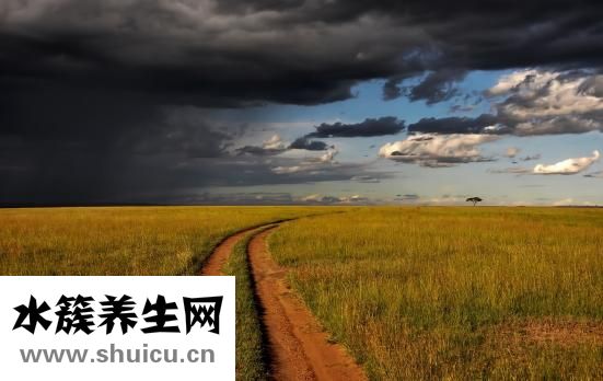 腎內(nèi)科前景怎么樣