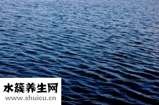 如何改掉壞習慣