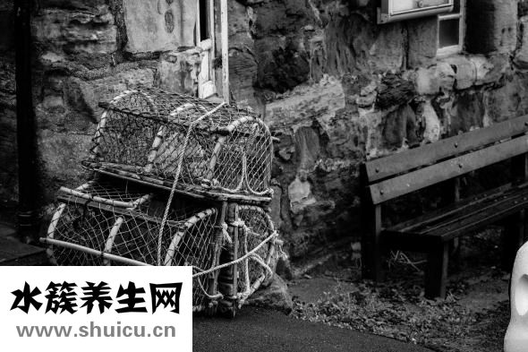 吃螃蟹過(guò)敏怎么辦