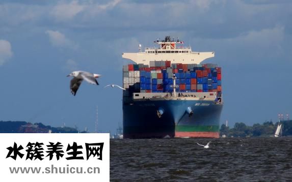 醫生嚴清怎么樣