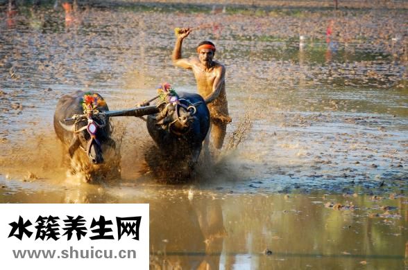 住意家居怎么樣