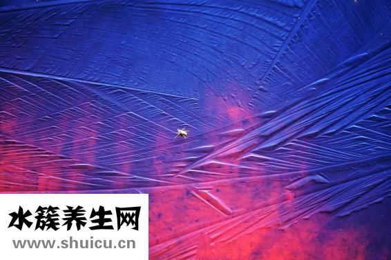 羽絨服要怎么洗