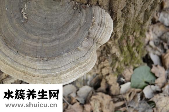 甲醛治理行業怎么樣