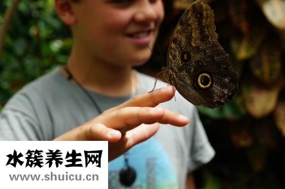 吃什么預防乳腺癌