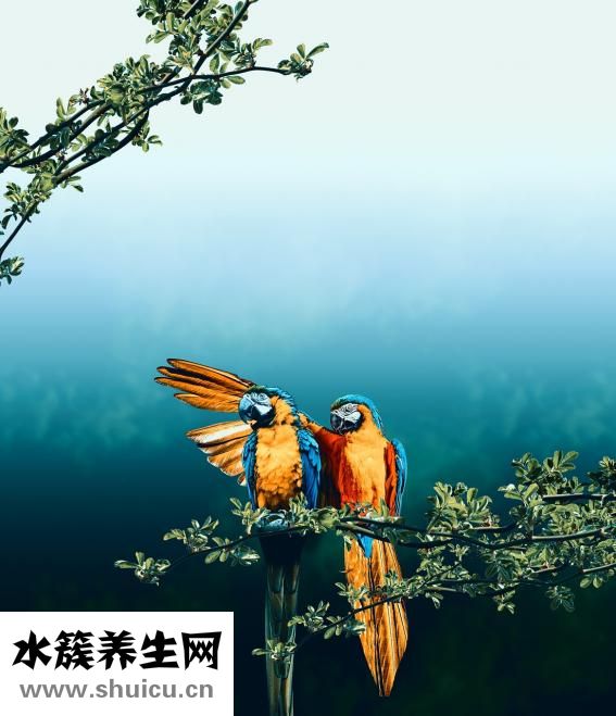 安溪女孩子怎么樣