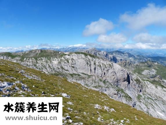 生產(chǎn)辣椒醬怎么樣