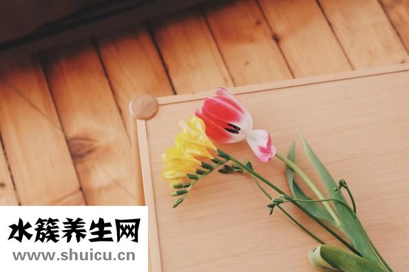 額頭高適合什么劉海