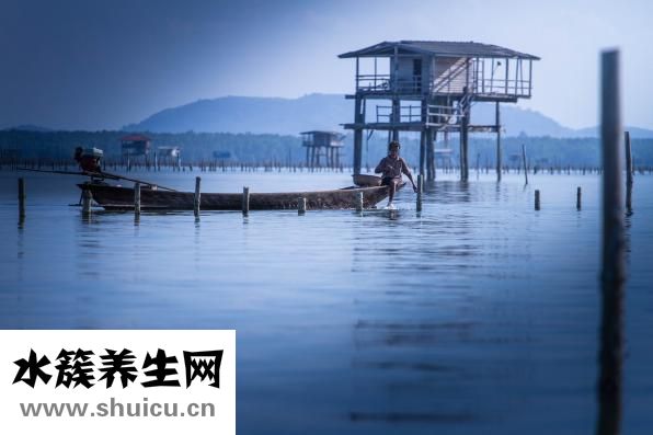 怎么樣導致毛囊壞死